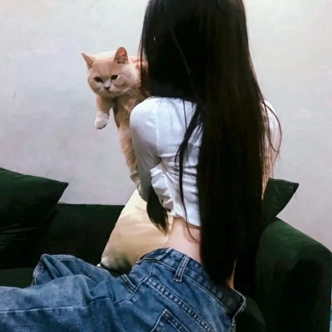 离狼之歌
